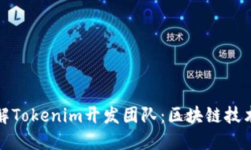 深入了解Tokenim开发团队：区块链技术的先锋