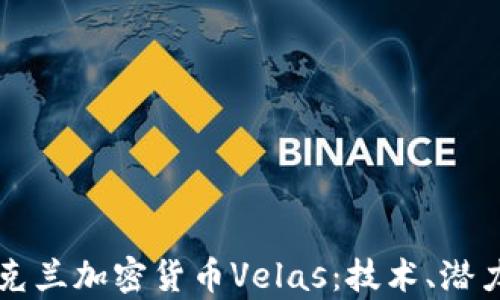 
深入探讨乌克兰加密货币Velas：技术、潜力与未来展望