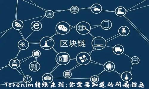 
Tokenim转账未到：你需要知道的所有信息