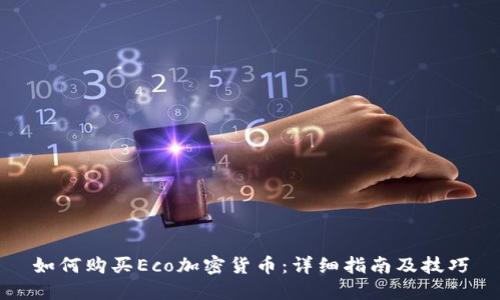 如何购买Eco加密货币：详细指南及技巧