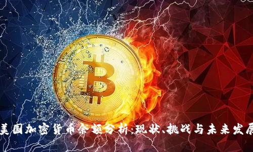 美国加密货币余额分析：现状、挑战与未来发展