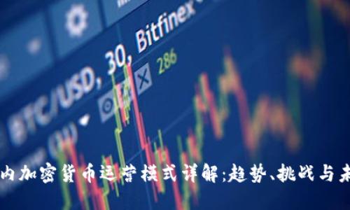 国内加密货币运营模式详解：趋势、挑战与未来