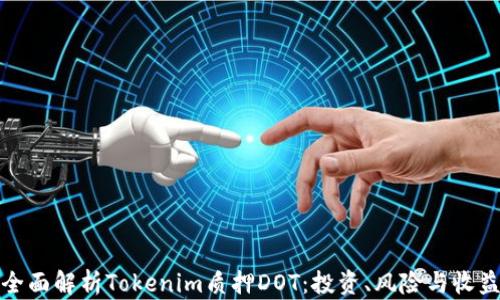 
全面解析Tokenim质押DOT：投资、风险与收益