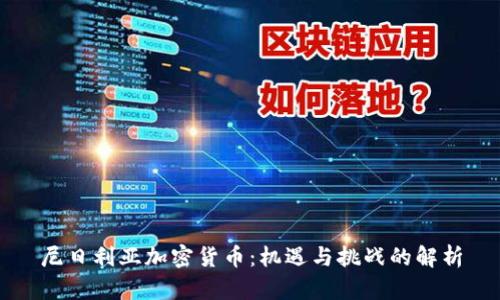 尼日利亚加密货币：机遇与挑战的解析
