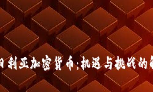 尼日利亚加密货币：机遇与挑战的解析
