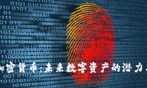 HZM加密货币：未来数字资产的潜力与挑战