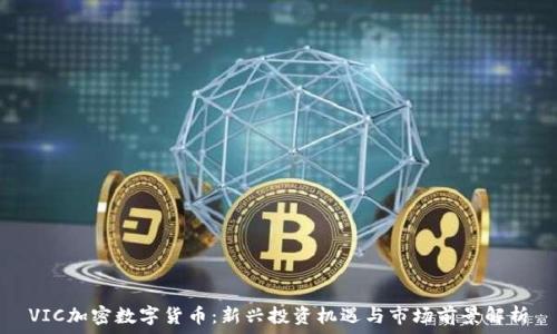   
VIC加密数字货币：新兴投资机遇与市场前景解析