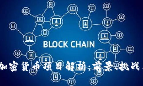 Libra加密货币项目解析：前景、挑战与影响