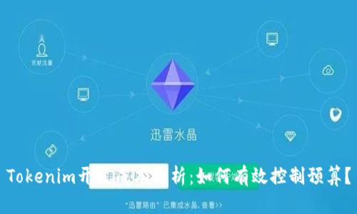 Tokenim开发成本分析：如何有效控制预算？