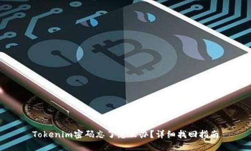 Tokenim密码忘了怎么办？详细找回指南