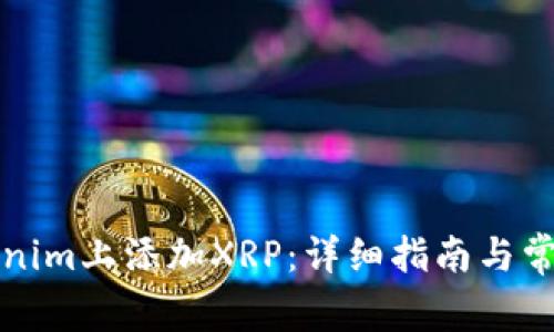 如何在Tokenim上添加XRP：详细指南与常见问题解答