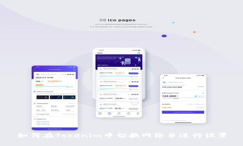 如何在Tokenim中切换网络并进行设置
