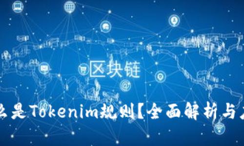 什么是Tokenim规则？全面解析与应用