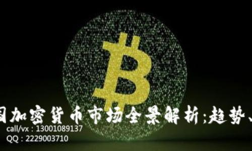 2023年中国加密货币市场全景解析：趋势、机遇与挑战
