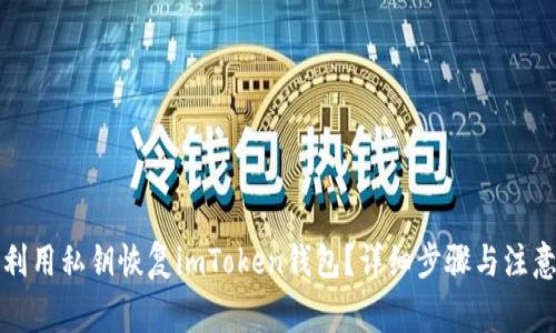 如何利用私钥恢复imToken钱包？详细步骤与注意事项