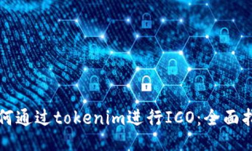 如何通过tokenim进行ICO：全面指南