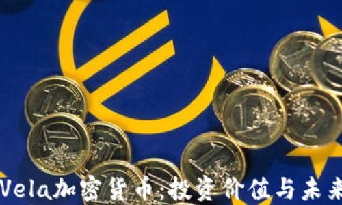 
详解Vela加密货币：投资价值与未来展望