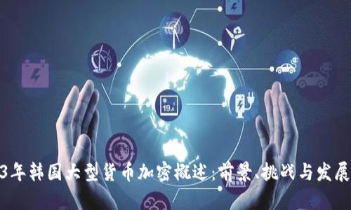 2023年韩国大型货币加密概述：前景、挑战与发展趋势