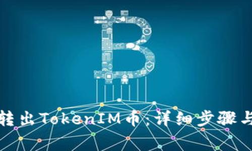 如何安全转出TokenIM币：详细步骤与注意事项