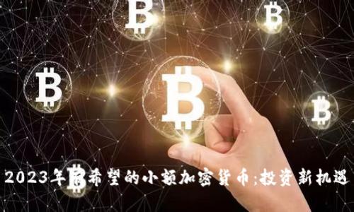 2023年有希望的小额加密货币：投资新机遇