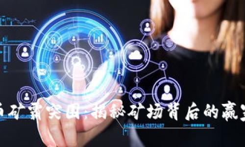 加密货币矿霸突围：揭秘矿场背后的赢家与挑战