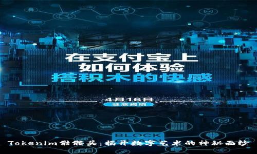 Tokenim骷髅头：揭开数字艺术的神秘面纱
