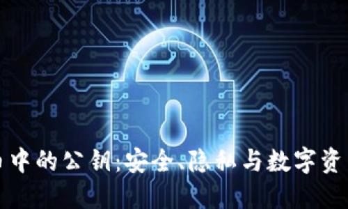加密货币中的公钥：安全、隐私与数字资产的未来