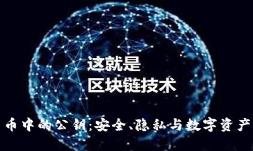 加密货币中的公钥：安全、隐私与数字资产的未来