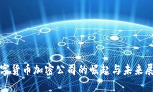 数字货币加密公司的崛起与未来展望