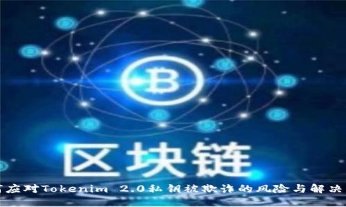 如何应对Tokenim 2.0私钥被欺诈的风险与解决方案