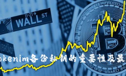 详解Tokenim备份私钥的重要性及最佳实践