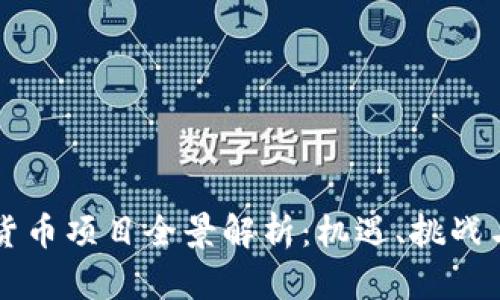 首尔加密货币项目全景解析：机遇、挑战与未来发展