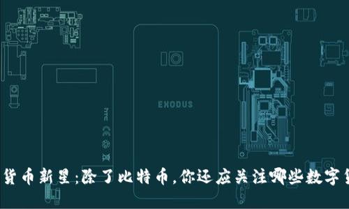 加密货币新星：除了比特币，你还应关注哪些数字货币？