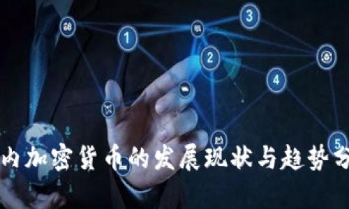 国内加密货币的发展现状与趋势分析
